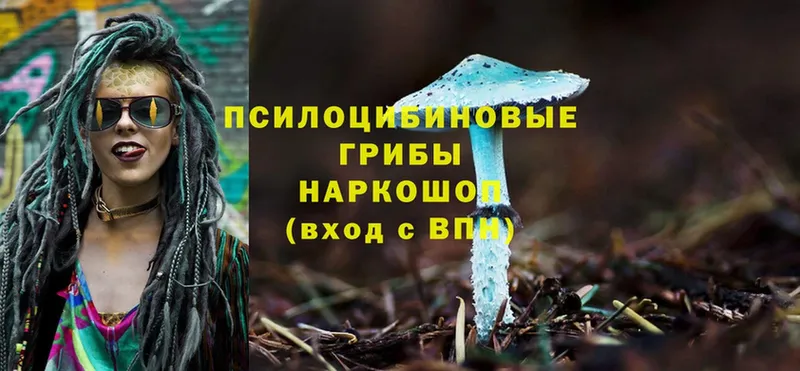 кракен tor  Выкса  Галлюциногенные грибы Psilocybe 